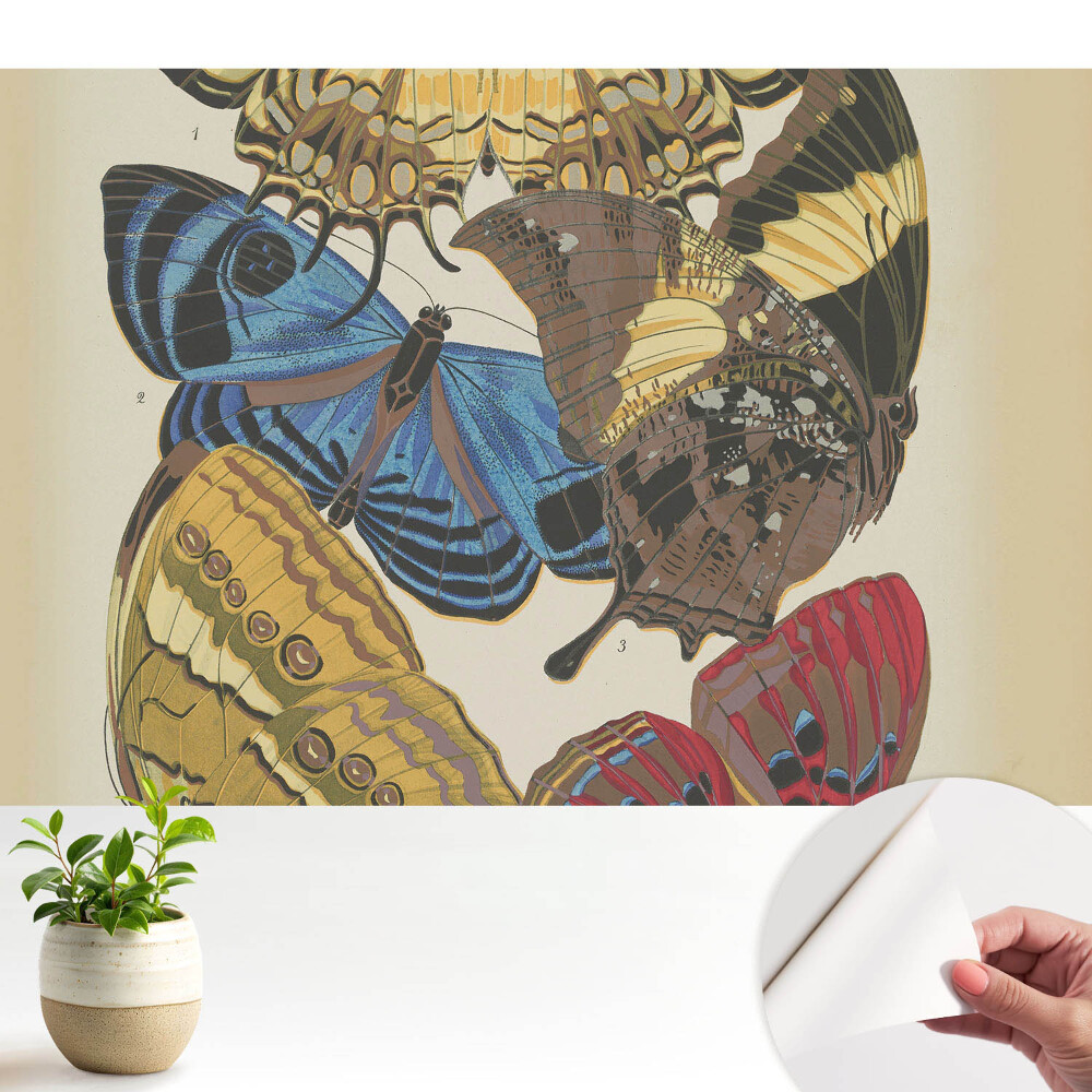 Tapety na stenu samolepiace Farebné motýle v elegantnej kompozícii