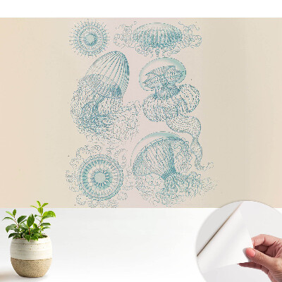 Tapeta Jemné kresby morských medúz