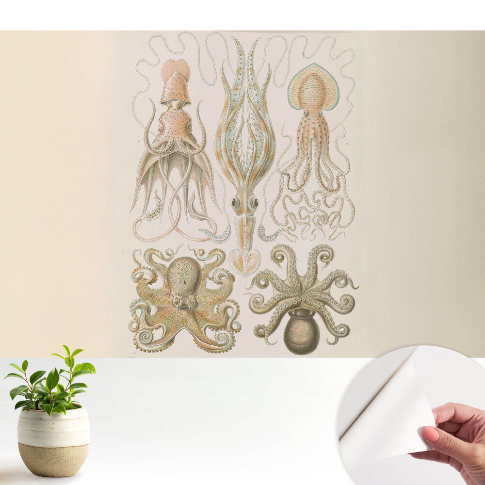 Tapety na stenu samolepiace Harmónia detailov morských hlavonožcov