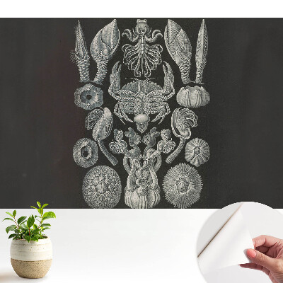 Luxusná tapeta s motívom umeleckého rytia morských organizmov