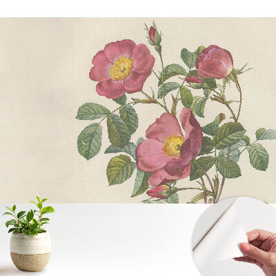Tapeta do obývačky Divoké ruže v klasickej kompozícii