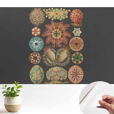 Tapeta na stenu samolepiaca s abstraktnými morskými tvarmi v klasickom štýle