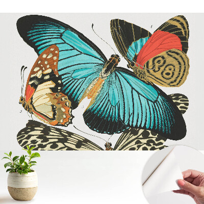 Tapeta do obývačky s farebnými motýľmi v klasickom štýle