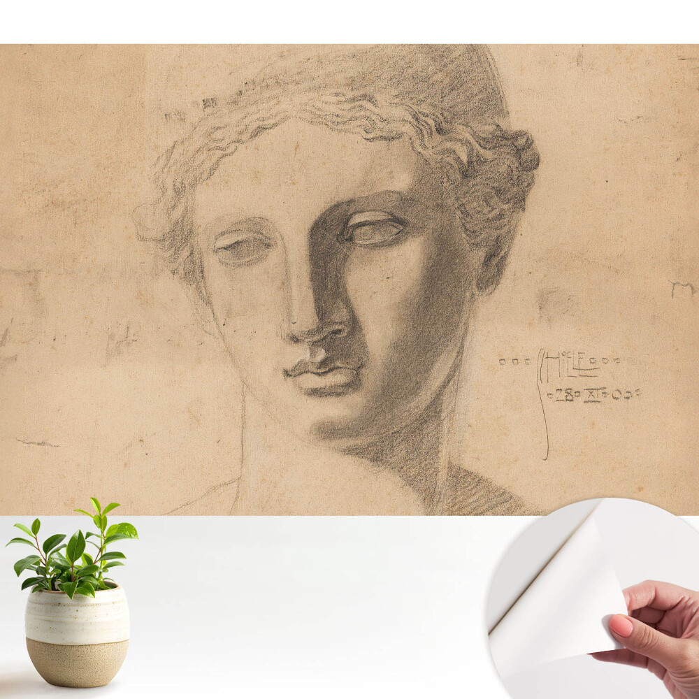 Tapeta do obývačky Klasická grafika ženskej tváre