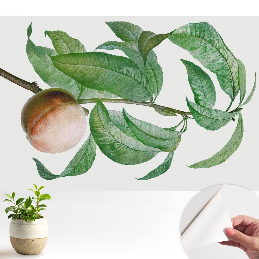 Tapeta do obývačky Broskyňa a listy v klasickom štýle