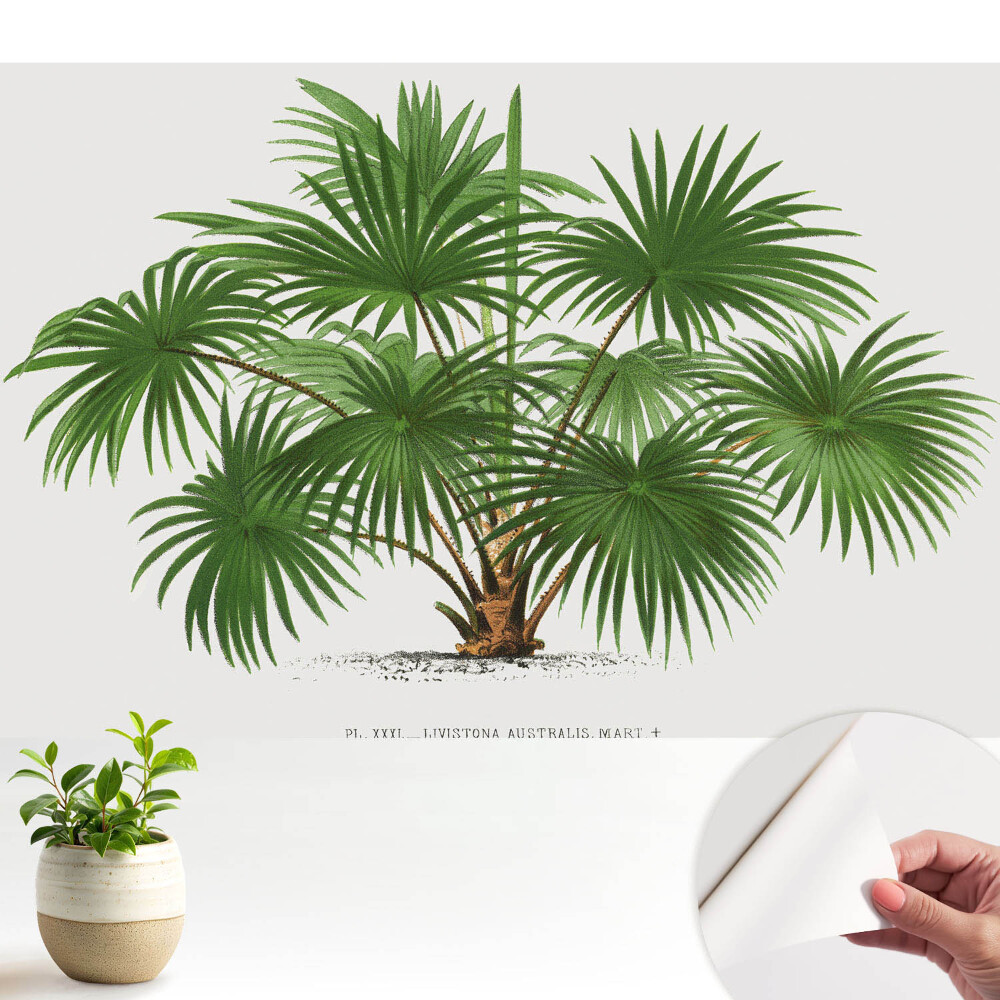 Luxusná tapeta Symetrické zloženie zelenej palmy