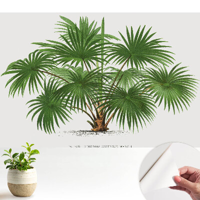 Luxusná tapeta so symetrickým motívom zelenej palmy