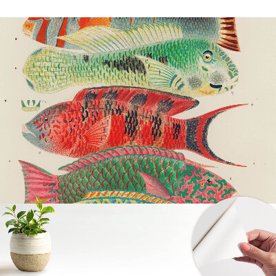 Tapeta do obývačky s farebnými rybami ilustrovanými v klasickom štýle