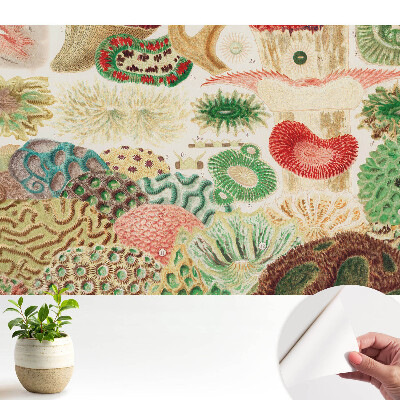 Tapety na stenu samolepiace Abstraktné organické motívy a štruktúry