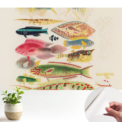 Luxusná tapeta Rôzne druhy rýb v klasickom štýle