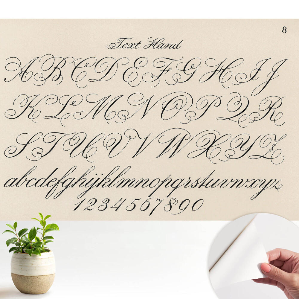 Tapeta Kaligrafická abeceda s prepracovanými ornamentmi