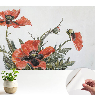 Luxusná tapeta Jemné vlčie maky na svetlom pozadí