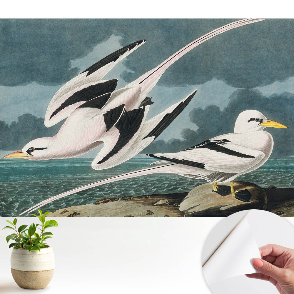 Tapeta do obývačky Klasický obraz vtákov na brehu