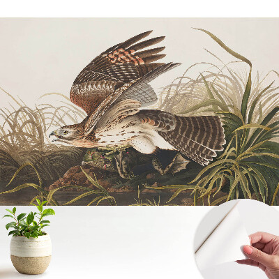 Tapeta na stenu samolepiaca s motívom vtáka v lete medzi trávou