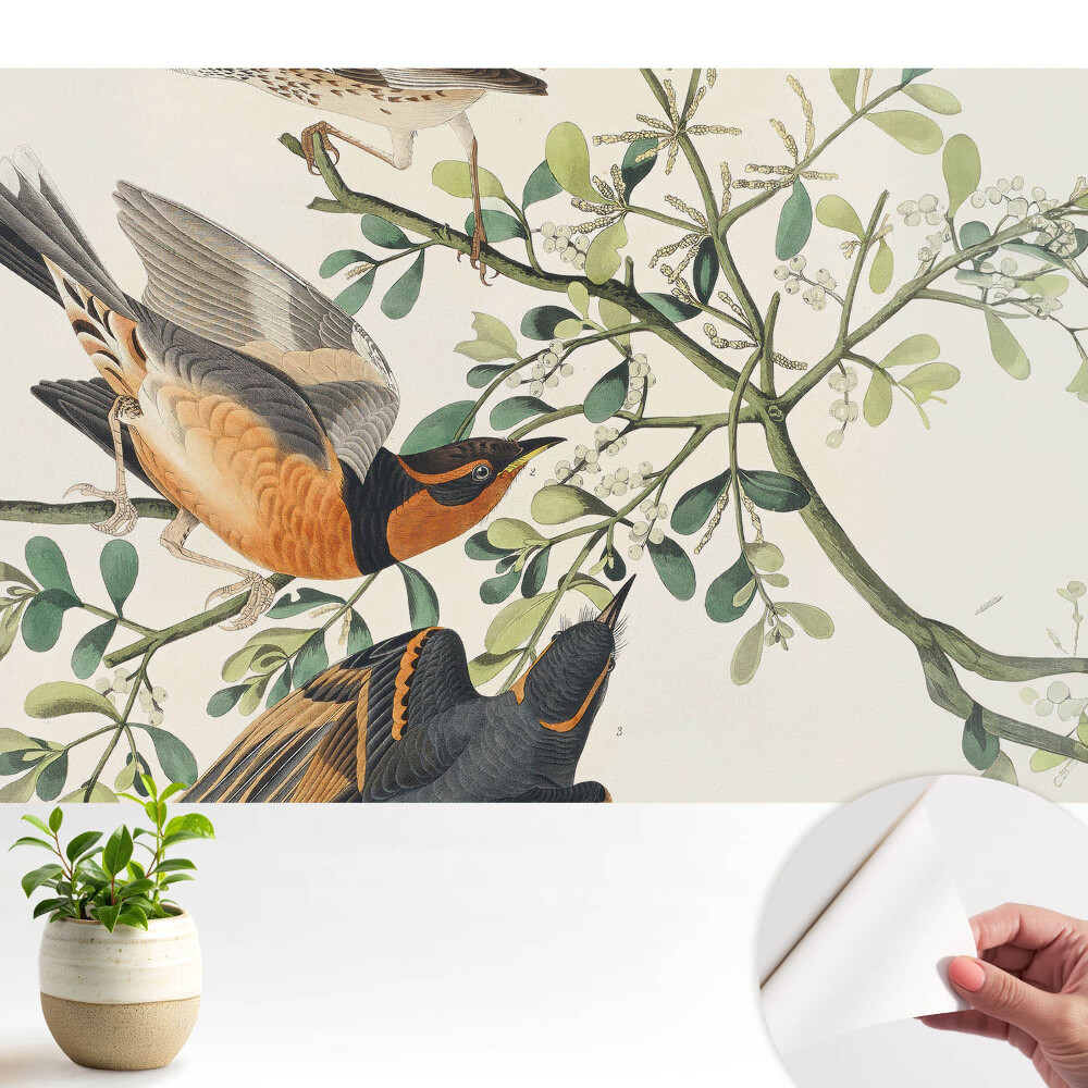 Tapeta do obývačky Vtáky medzi zelenými listami