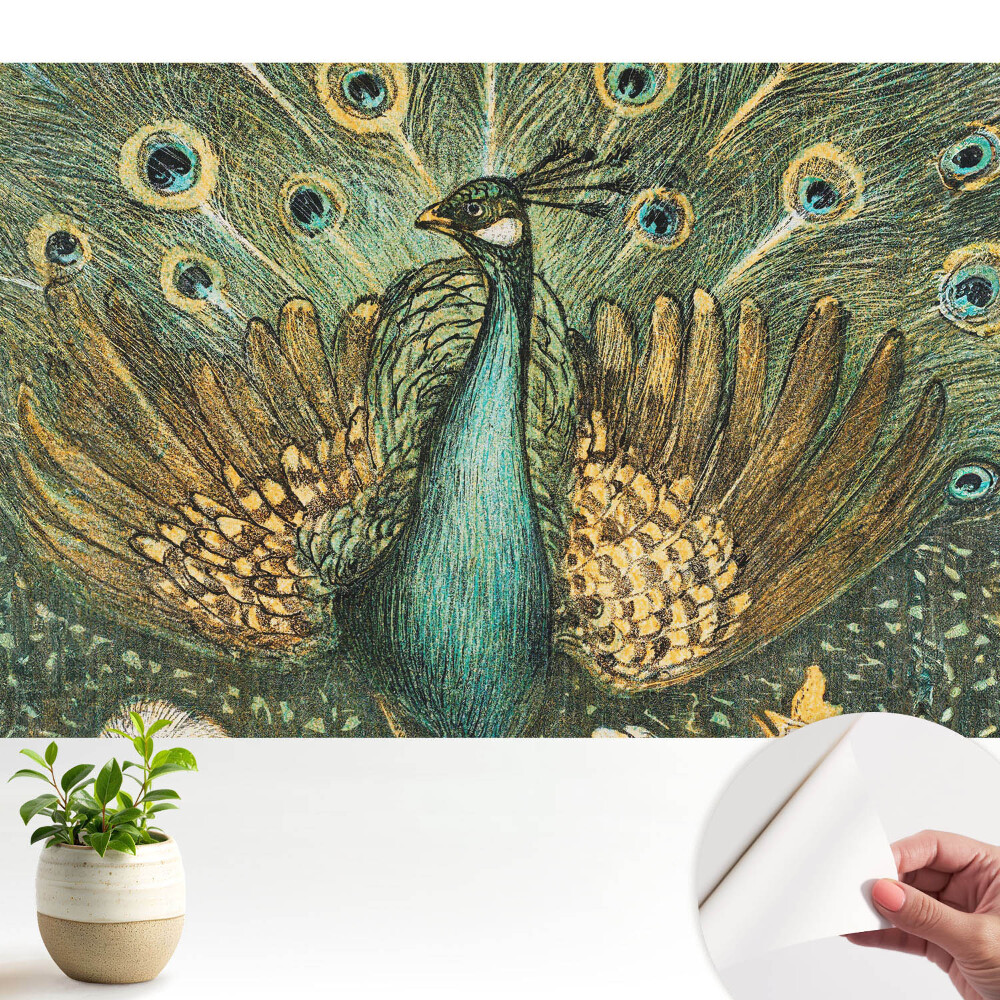 Tapety na stenu samolepiace Klasická pávia elegancia príroda