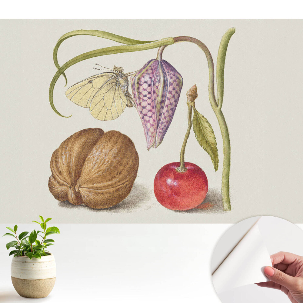 Tapeta do obývačky Motýľ na kvetnom liste a plode