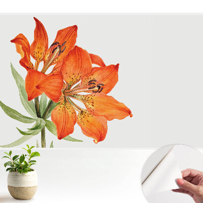 Tapeta na stenu samolepiaca v motíve oranžovej ľalie s jemne klasickým vzhľadom