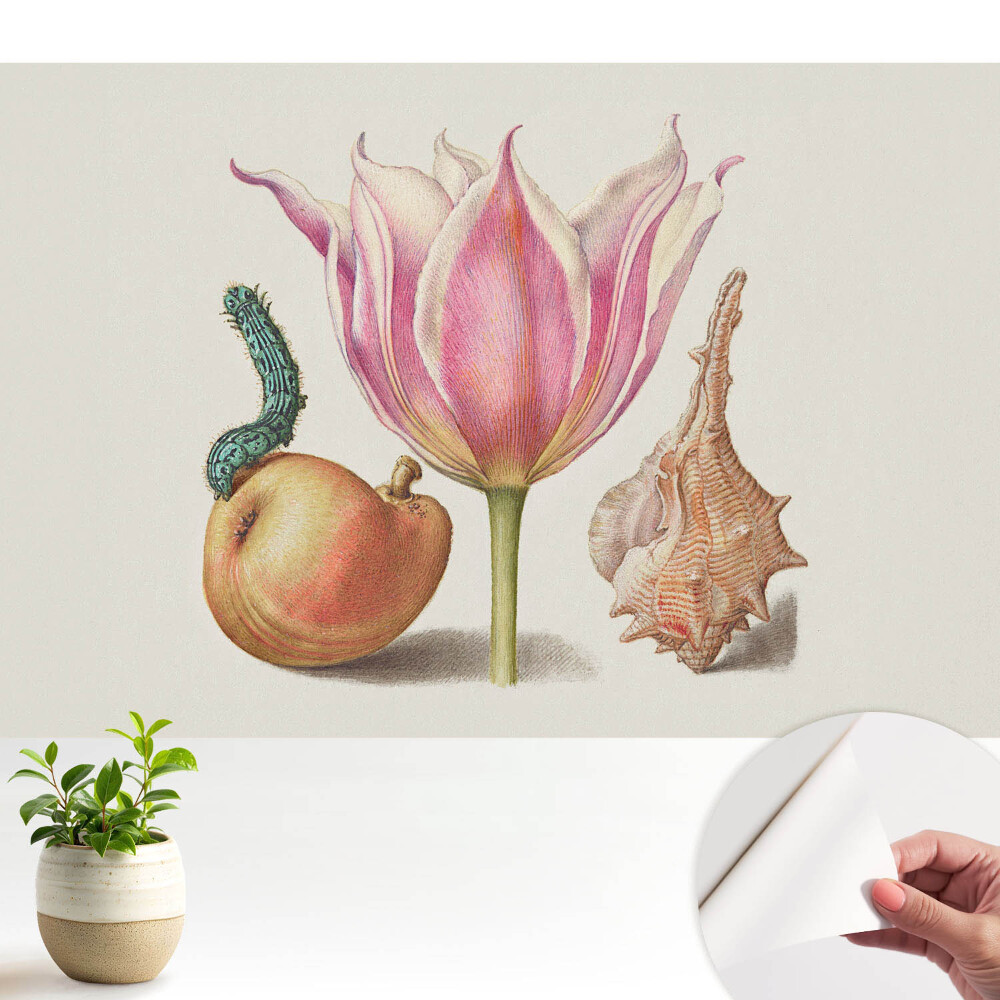 Luxusná tapeta Harmónia škrupiny kvetu húsenice.