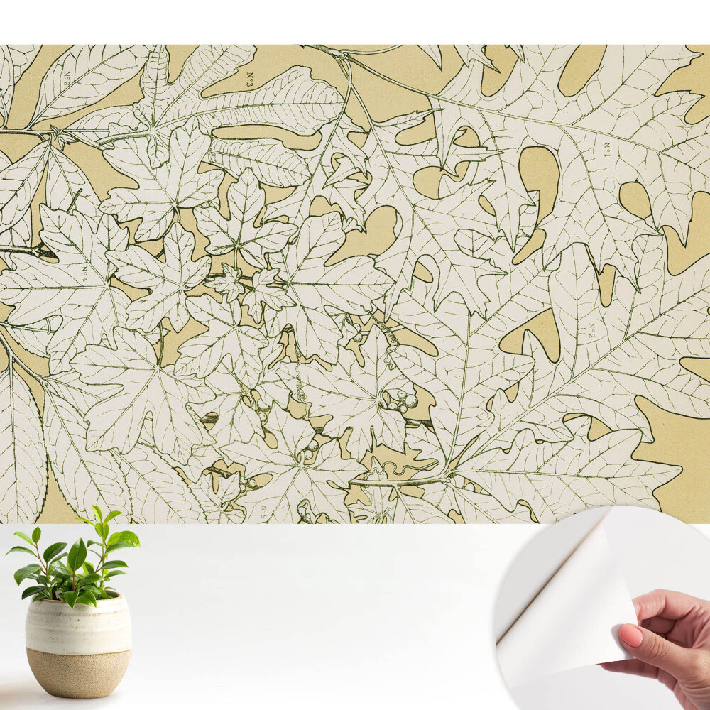 Tapeta Botanická kresba listov stromov