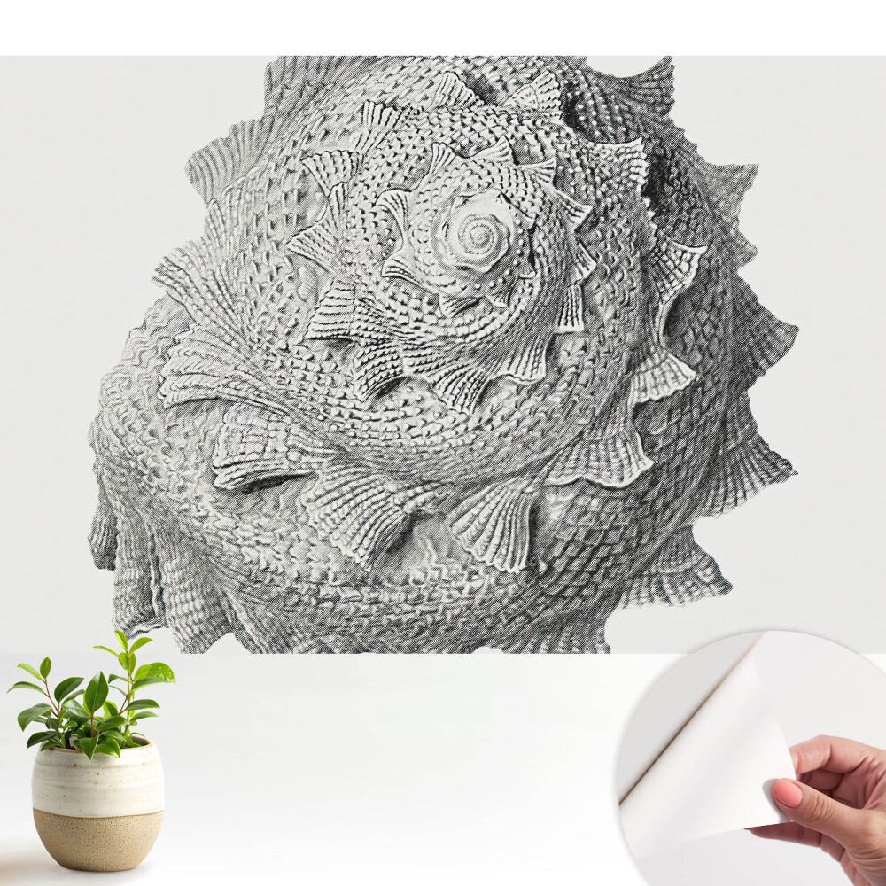 Tapety na stenu samolepiace Vizuálna harmónia špirálovej škrupiny