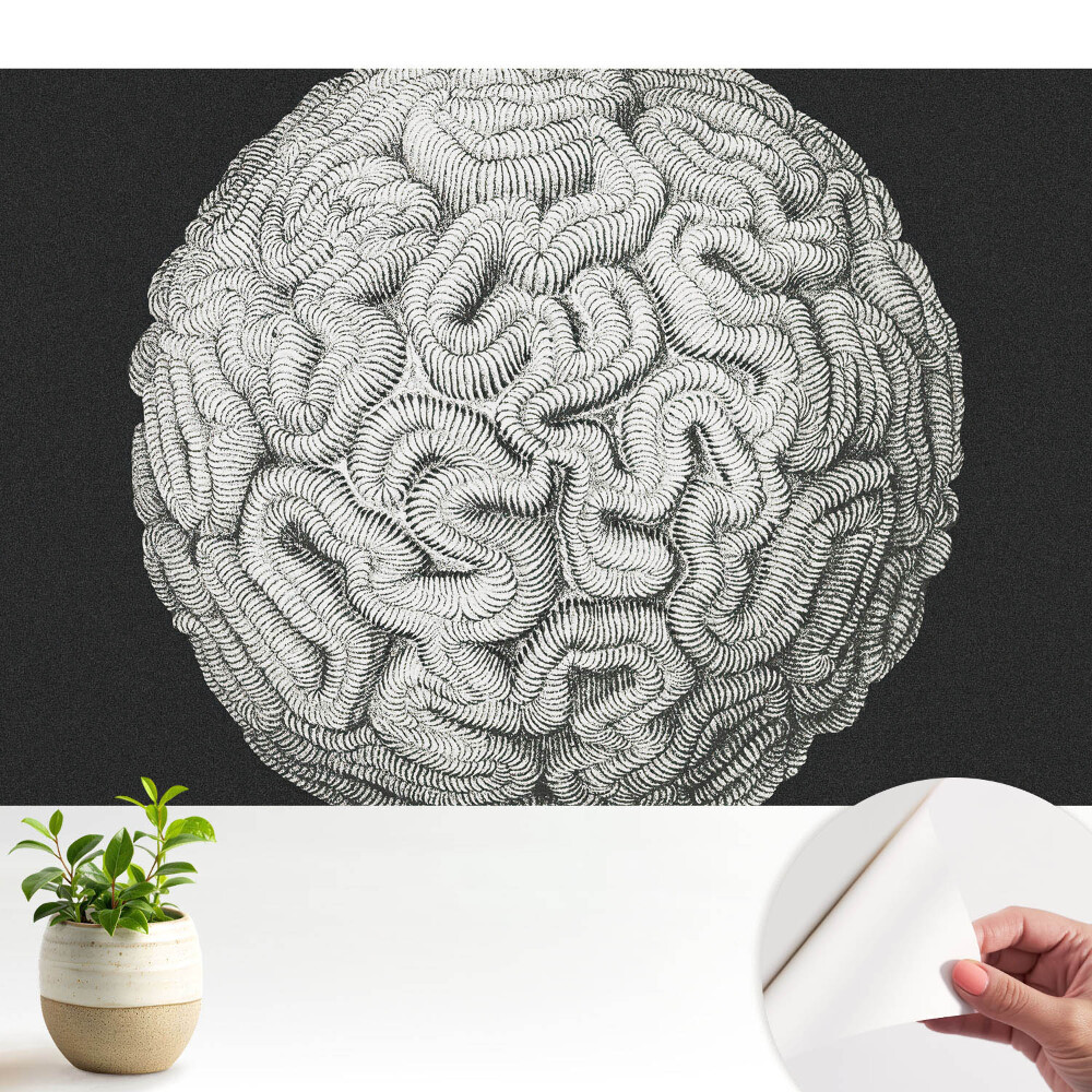 Tapeta Monochromatická sférická harmonická štruktúra