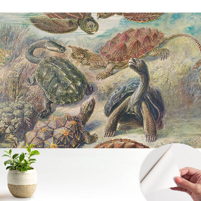 Luxusná tapeta Rôzne korytnačky vo vodnej scenérii