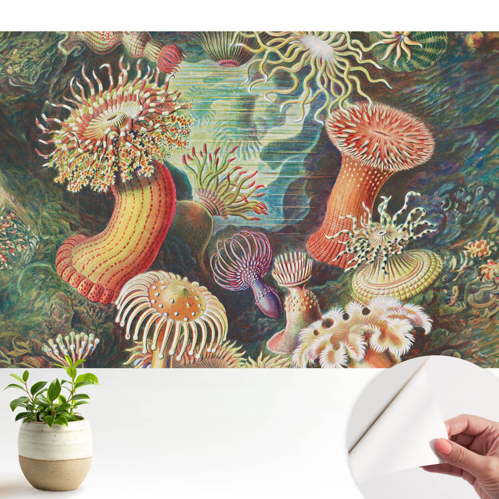 Tapeta Podvodné tvary a jasné farby