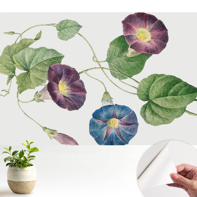 Tapeta na stenu samolepiaca s jemným kvetinovým botanickým motívom