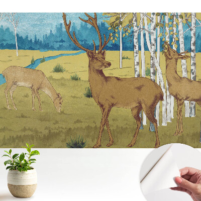 Tapety na stenu samolepiace Jeleň v brezovom lese