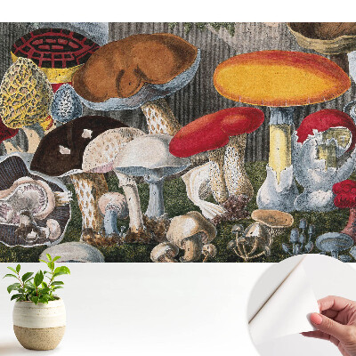 Tapeta do obývačky s botanickým motívom húb