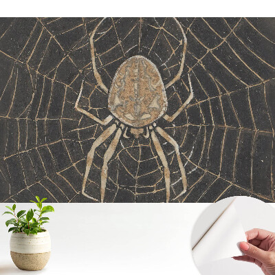 Tapety na stenu samolepiace Pavúk v sieti symetrický klasik