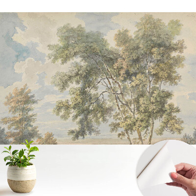 Tapeta Upokojujúca krajina stromov a oblohy