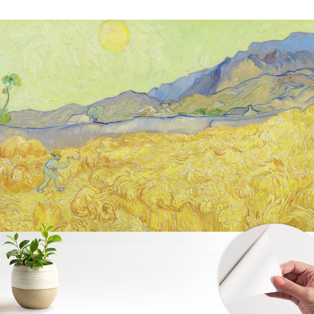 Tapety na stenu samolepiace Žlté pšeničné pole s krajinou