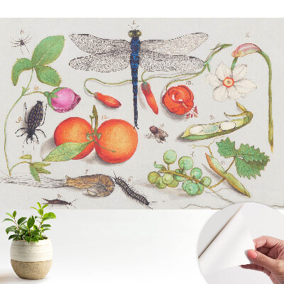 Tapeta do obývačky s botanickou kolážou a motívom hmyzu