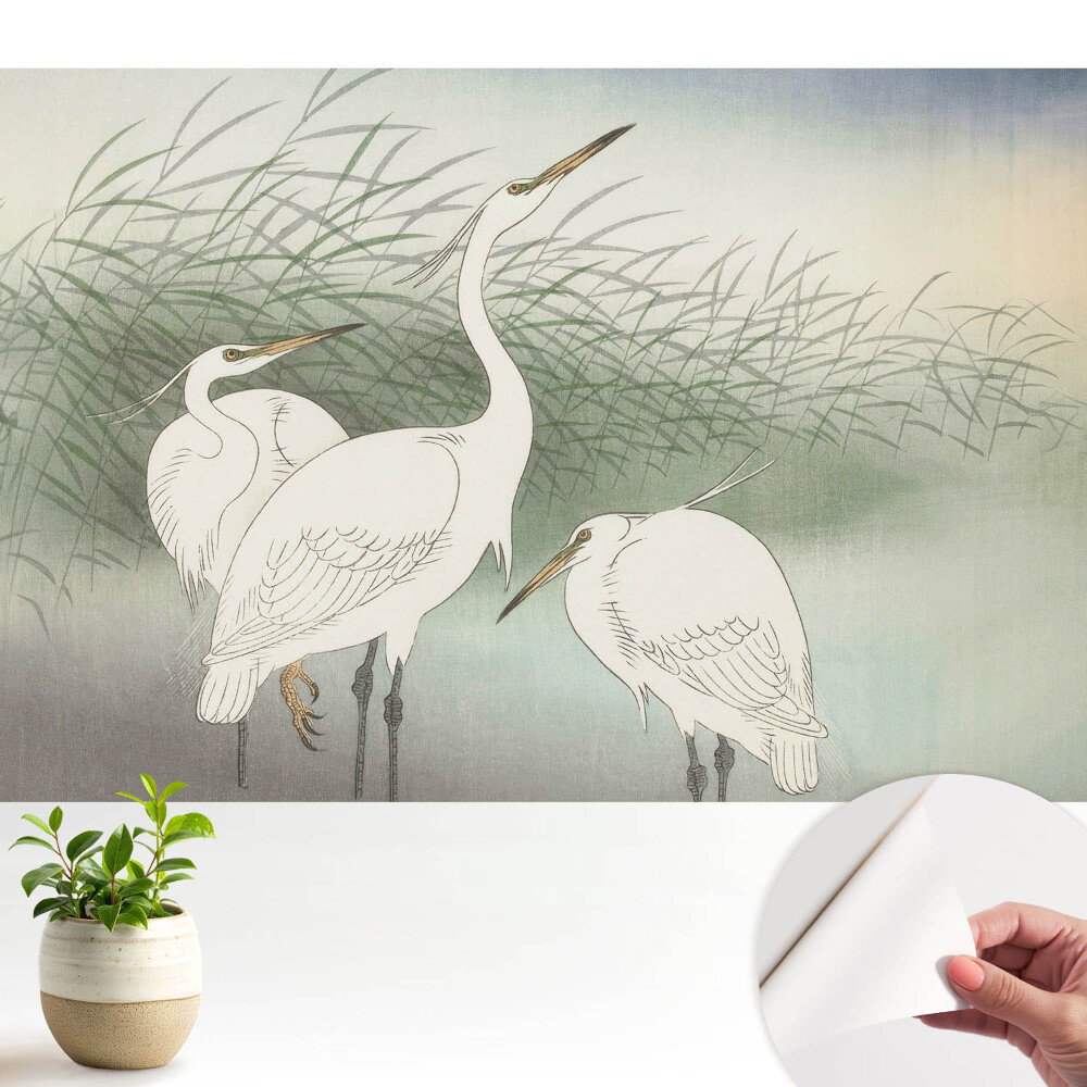 Tapeta Jemné vtáky medzi trávou