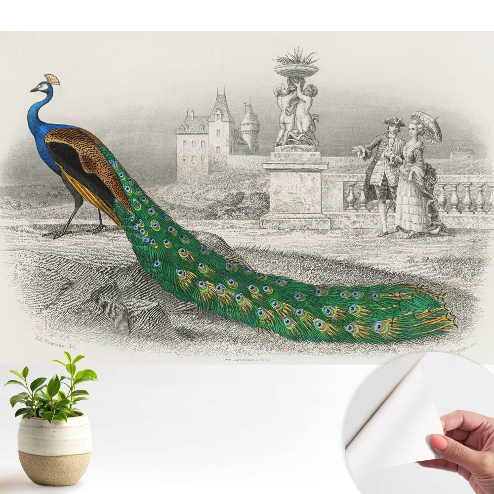 Tapeta Páv v záhrade s barokovými postavami