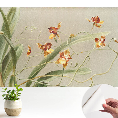 Tapeta s motívom krásnych orchideí na sivom pozadí