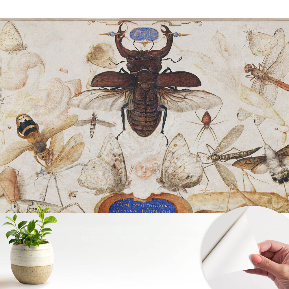 Luxusná tapeta Hmyz motýle pavúk klasická symetria