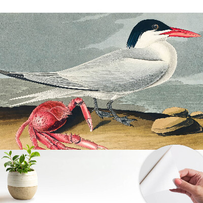 Tapety na stenu samolepiace Vták a krab, klasický duet prírody