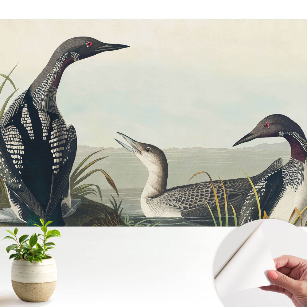 Tapeta Tri vtáky v klasickom štýle.