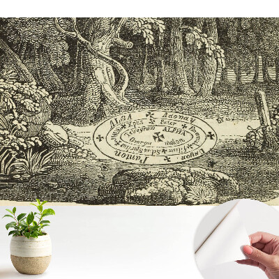 Luxusná tapeta s klasickou ilustráciou mystického lesa