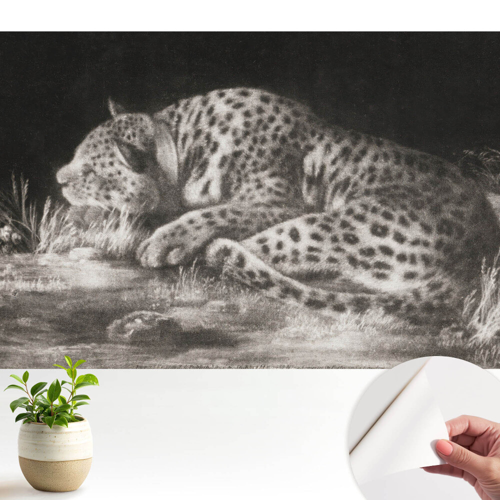 Luxusná tapeta s motívom leoparda odpočívajúceho v tráve