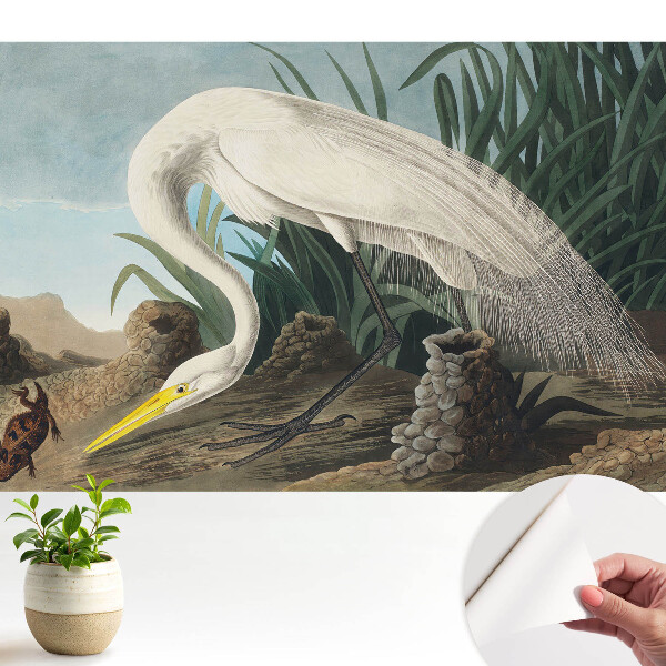 Tapeta Volavka v tráve