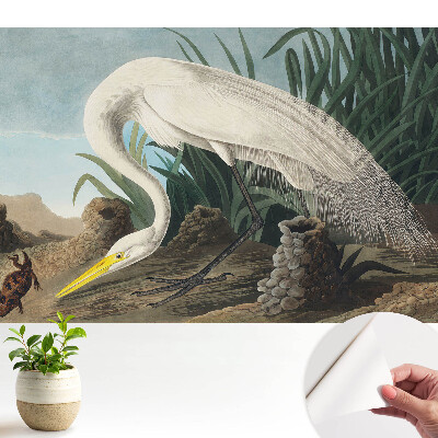 Tapeta Volavka v tráve