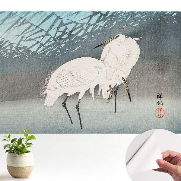 Tapeta Tradičné vtáky elegancia detail voda mier