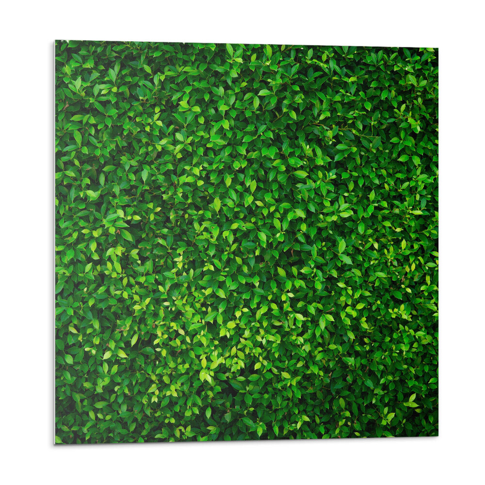 Pvc obklady Hustá stena listov