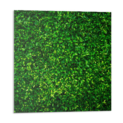 Pvc obklady Hustá stena listov