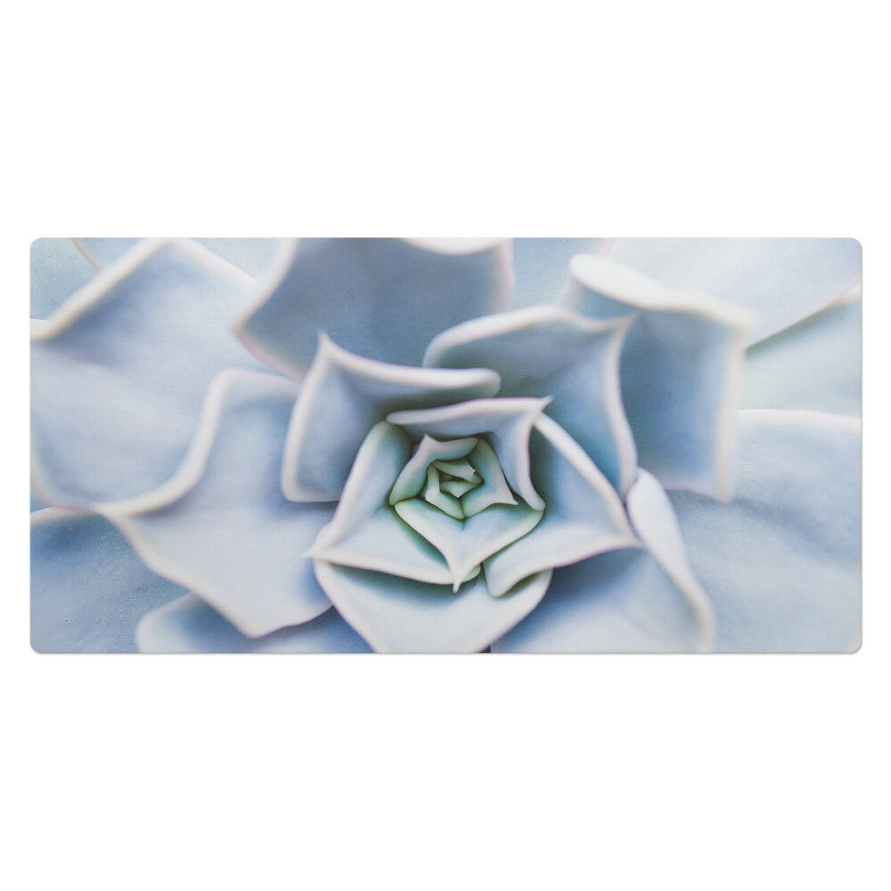 Veľká podložka na stôl Špirálové sukulenty