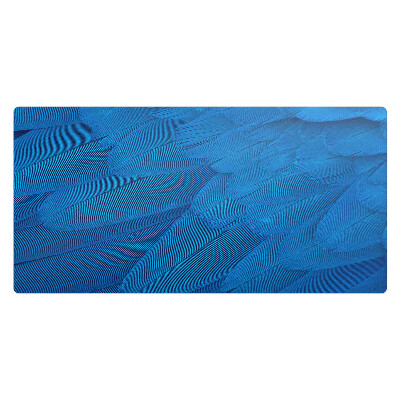 Kancelárska podložka na stôl Vtáčie perie zblízka